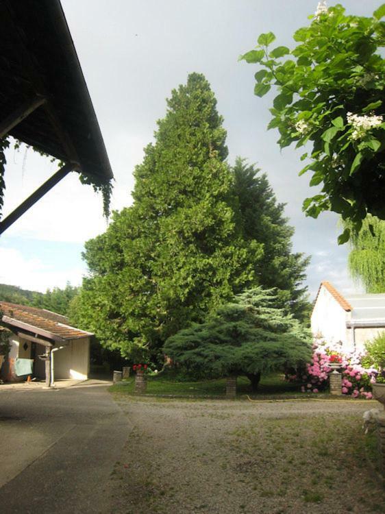 Villa Dufresne Beynost Esterno foto